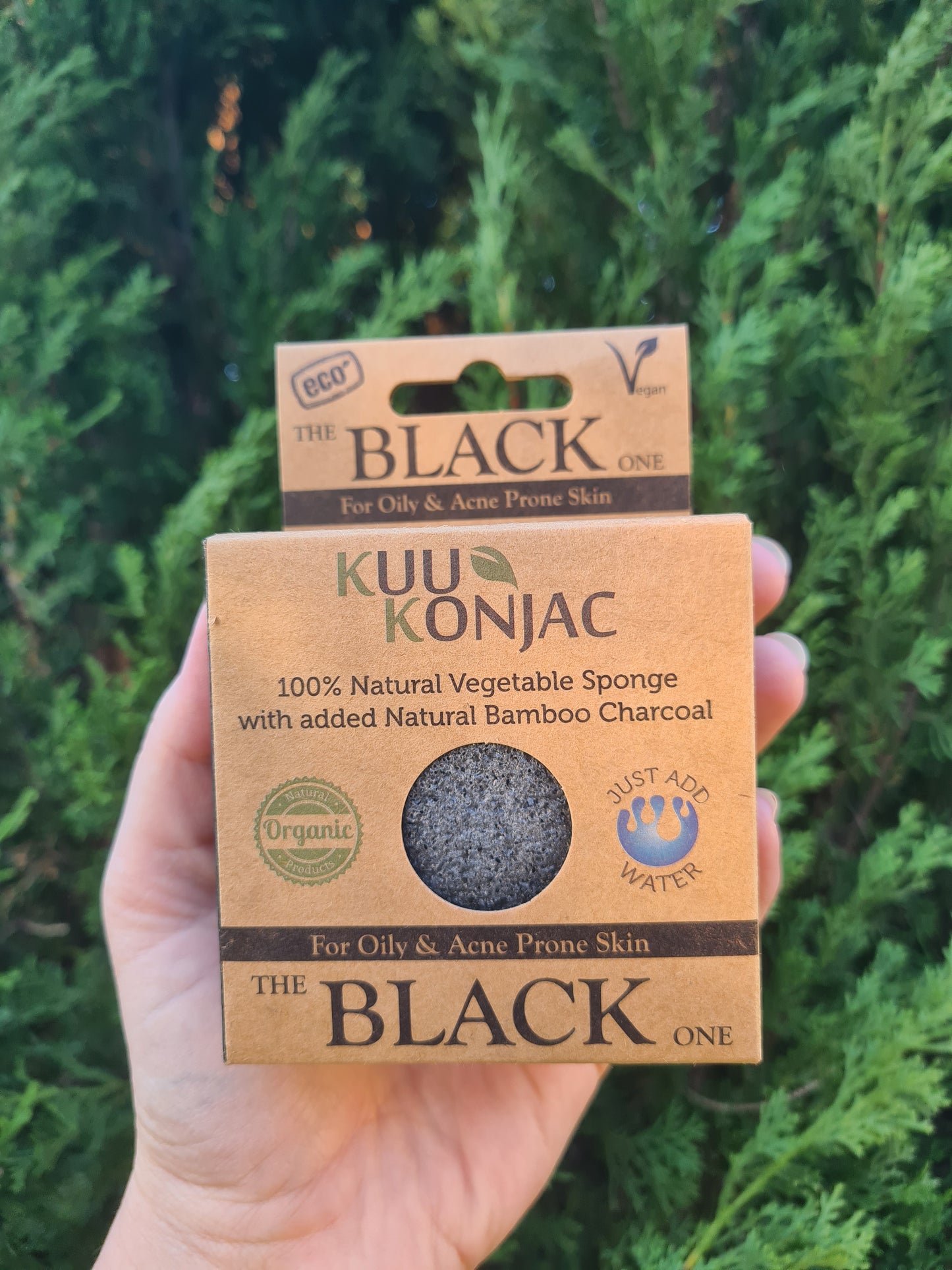 Konjac Sponges
